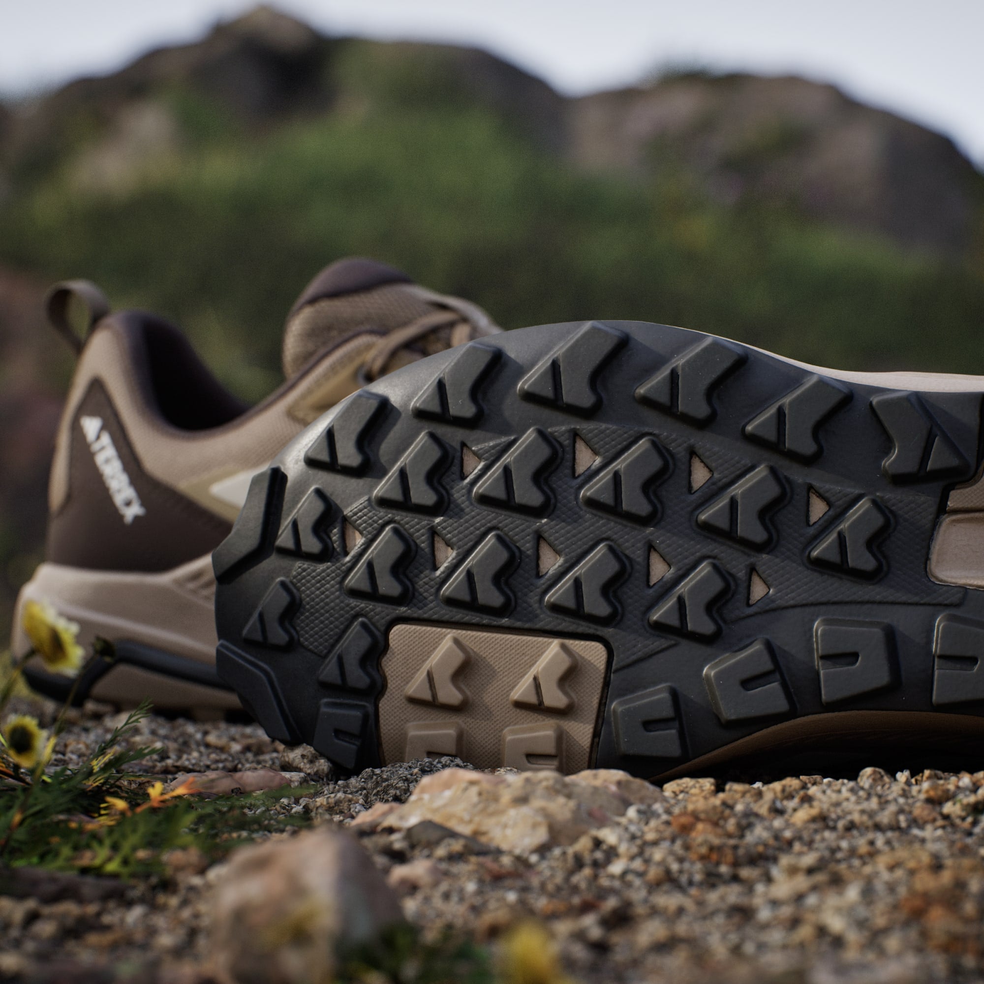 Adidas Terrex Anylander - Hombre