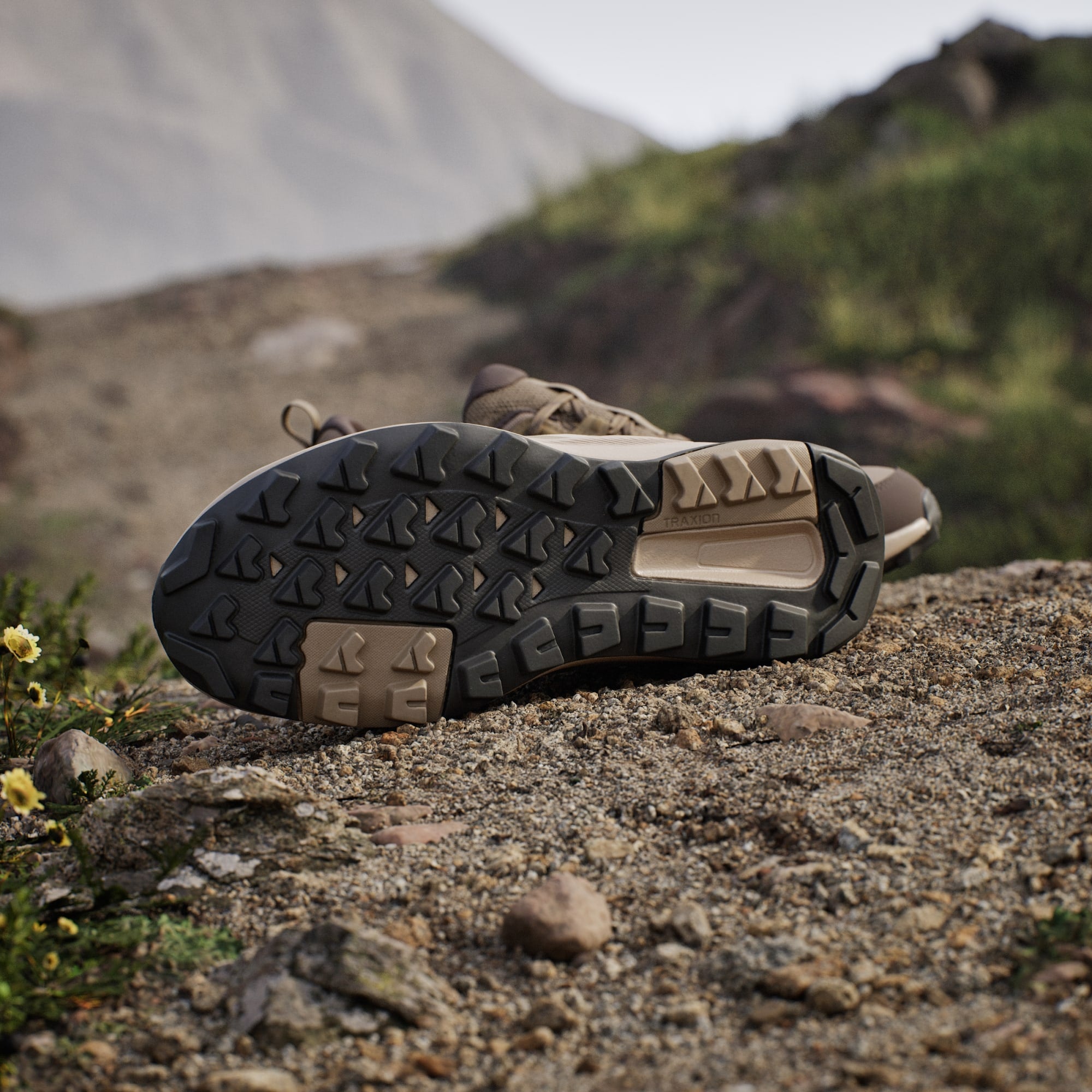 Adidas Terrex Anylander - Hombre